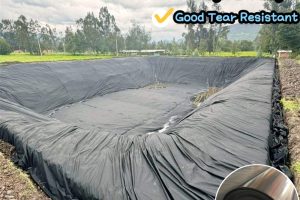 Durable HDPE Aquaculture Liners5 Aquaculture Pond Liner