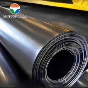 HDPE Geomembrane Liner Installation in Aquaculture Fish Pond