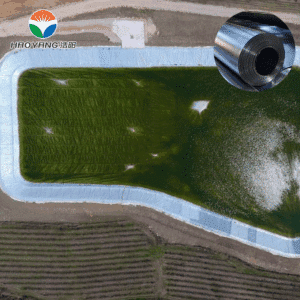 HDPE/LLDPE Geomembrane Installation in Commercial Fish Farming Pond