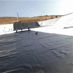 Black Geomembrane for Tailings Pond Liners/Water Storage Tanks/Aquaculture