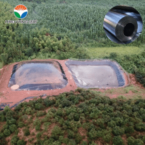 Heavy-Duty 2.0mm Geomembrane