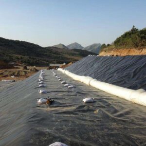 Geomembrane Fish Shrimp Farm Pond Liner 0.3mm 0.5mm HDPE Geomembrane