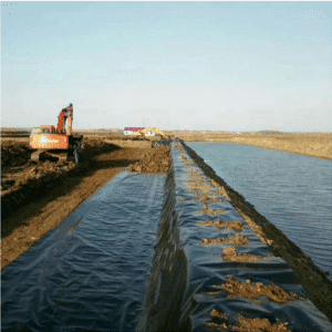 Balık Çiftliği Tarım Depolama Sahası Gölet Astarı için Fabrika Kaynağı HDPE Geomembran